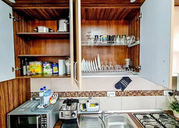 Cozy In Downtown Appartement *